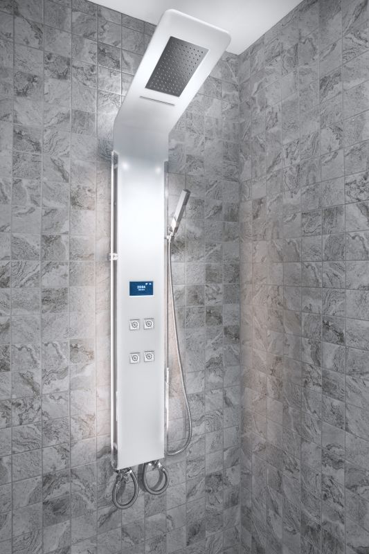 Contemporary Shower with Multi-Function Head