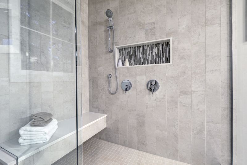 Modern Shower with Recessed Shelves
